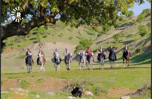 Çanda siwariyê bo nifşên nû